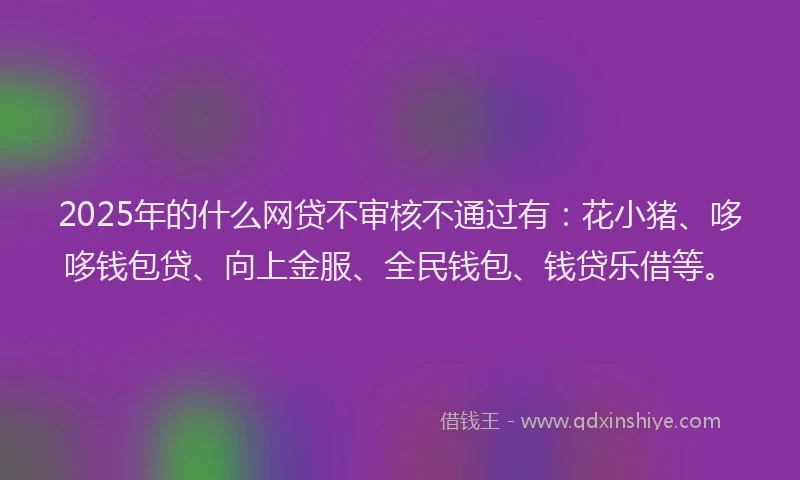 2025年的什么网贷不审核不通过有：花小猪、哆哆钱包贷、向上金服、全民钱包、钱贷乐借等。