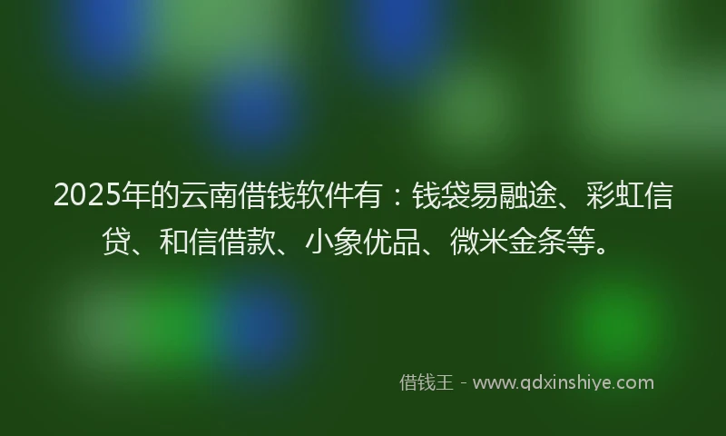 2025年的云南借钱软件有：钱袋易融途、彩虹信贷、和信借款、小象优品、微米金条等。