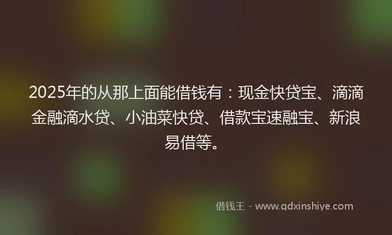 2025年的从那上面能借钱有：现金快贷宝、滴滴金融滴水贷、小油菜快贷、借款宝速融宝、新浪易借等。