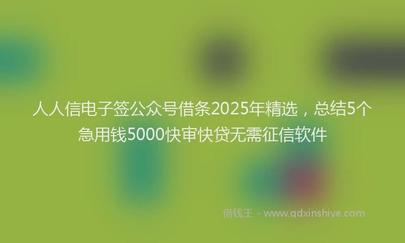 人人信电子签公众号借条2025年精选，总结5个急用钱5000快审快贷无需征信软件