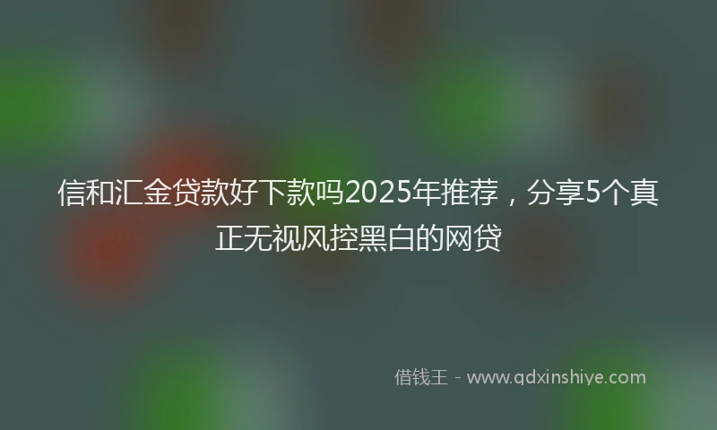信和汇金贷款好下款吗2025年推荐，分享5个真正无视风控黑白的网贷