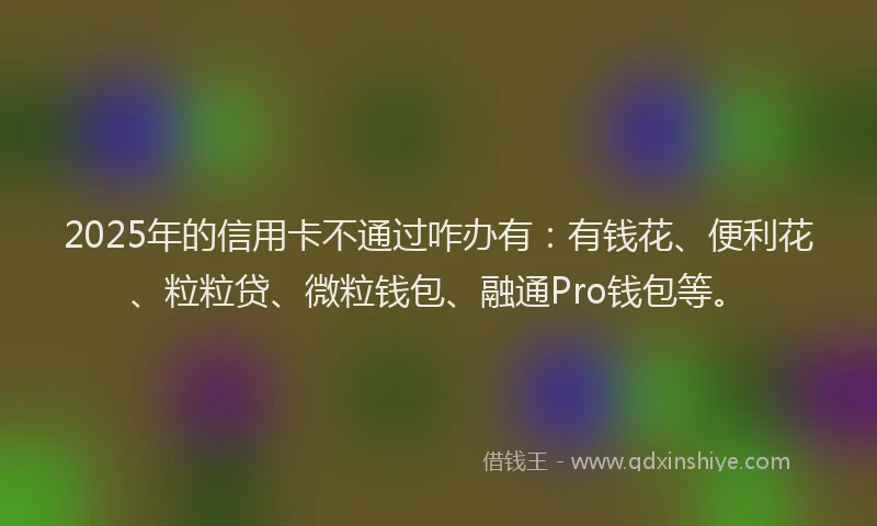 2025年的信用卡不通过咋办有：有钱花、便利花、粒粒贷、微粒钱包、融通Pro钱包等。