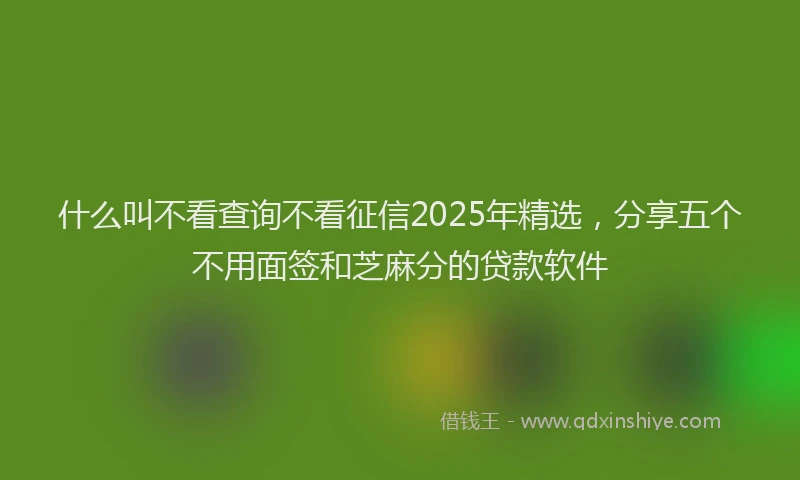 什么叫不看查询不看征信2025年精选,分享五个不用面签和芝麻分的贷款软件