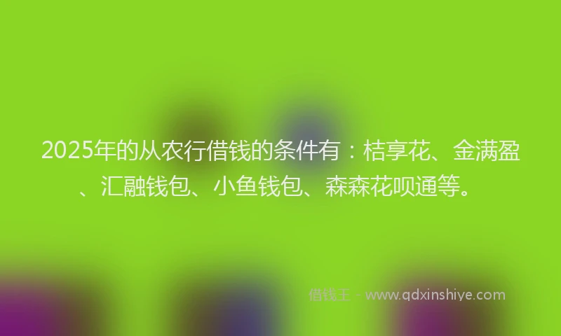2025年的从农行借钱的条件有：桔享花、金满盈、汇融钱包、小鱼钱包、森森花呗通等。