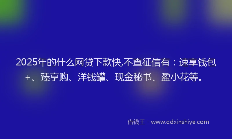 2025年的什么网贷下款快,不查征信有：速享钱包+、臻享购、洋钱罐、现金秘书、盈小花等。