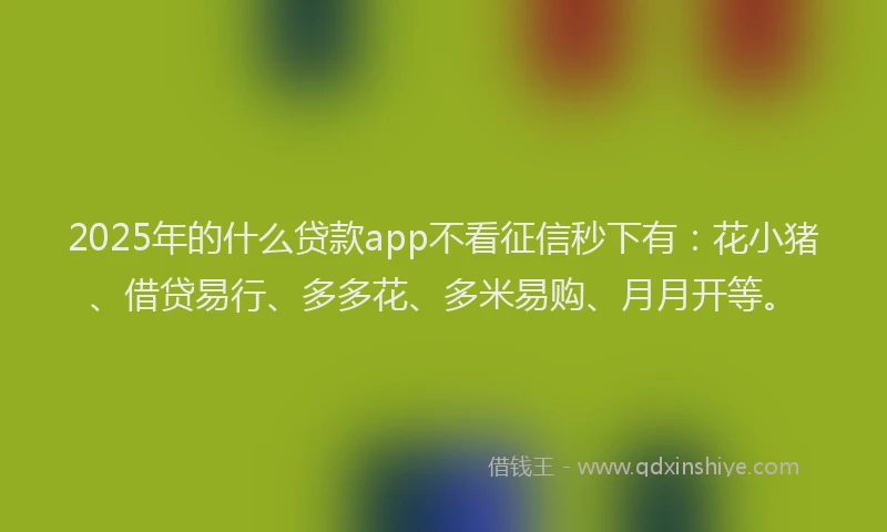 2025年的什么贷款app不看征信秒下有:花小猪、借贷易行、多多花、多米易购、月月开等。