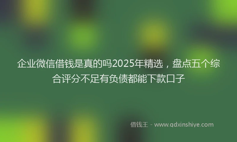 企业微信借钱是真的吗2025年精选，盘点五个综合评分不足有负债都能下款口子
