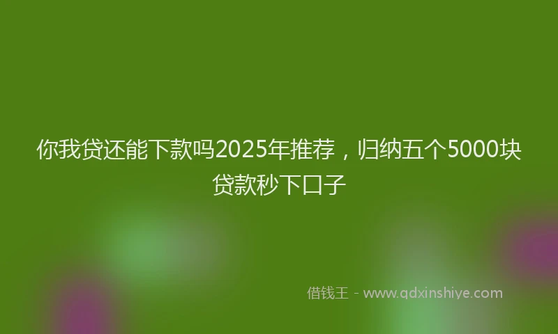 你我贷还能下款吗2025年推荐，归纳五个5000块贷款秒下口子