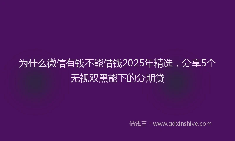 为什么微信有钱不能借钱2025年精选，分享5个无视双黑能下的分期贷