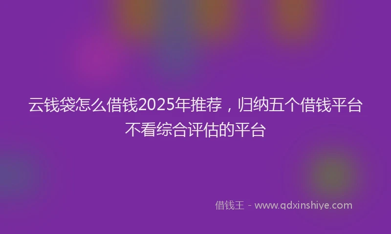 云钱袋怎么借钱2025年推荐，归纳五个借钱平台不看综合评估的平台
