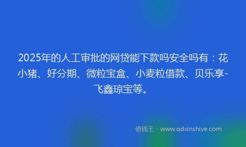 2025年的人工审批的网贷能下款吗安全吗有:花小猪、好分期、微粒宝盒、小麦粒借款、贝乐享-飞鑫琼宝等。