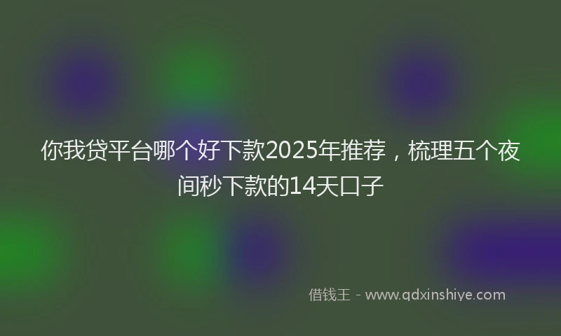 你我贷平台哪个好下款2025年推荐，梳理五个夜间秒下款的14天口子