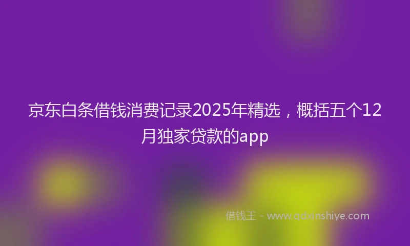 京东白条借钱消费记录2025年精选，概括五个12月独家贷款的app