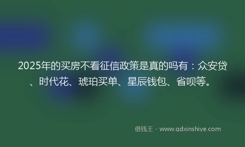 2025年的买房不看征信政策是真的吗有：众安贷、时代花、琥珀买单、星辰钱包、省呗等。