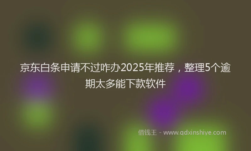京东白条申请不过咋办2025年推荐，整理5个逾期太多能下款软件