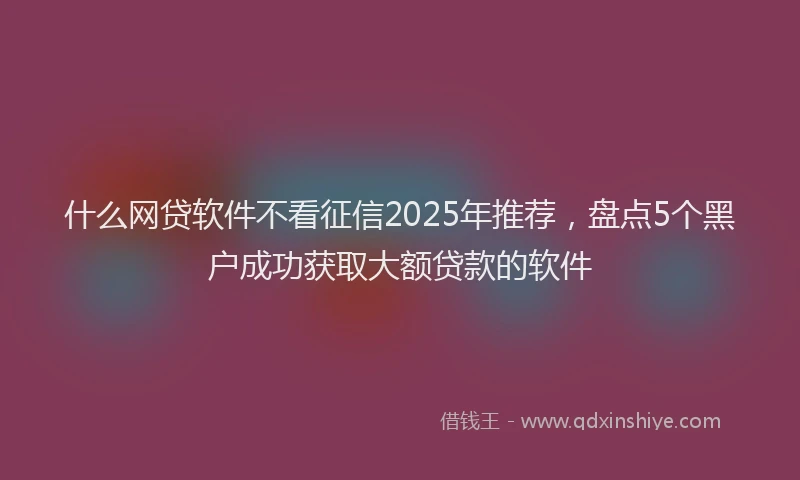 什么网贷软件不看征信2025年推荐，盘点5个黑户成功获取大额贷款的软件