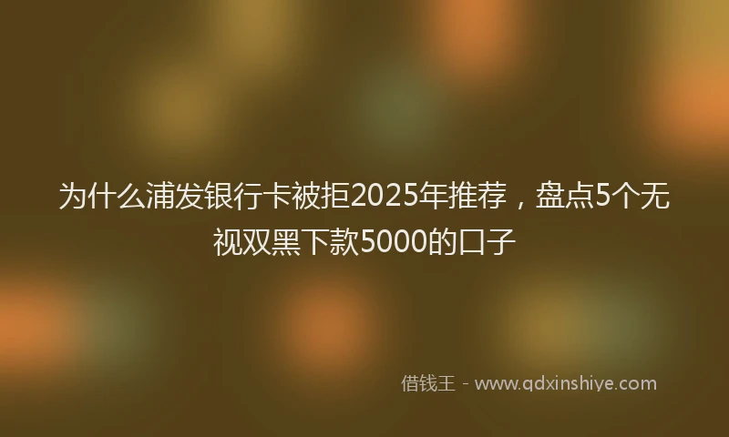 为什么浦发银行卡被拒2025年推荐，盘点5个无视双黑下款5000的口子