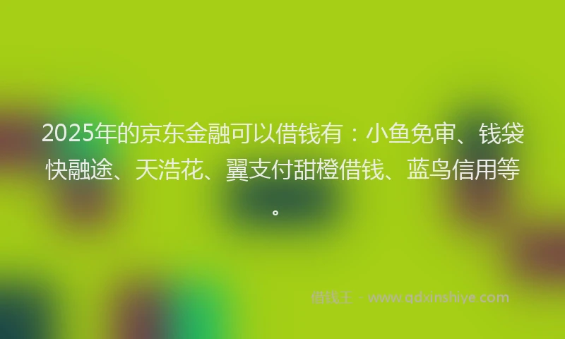 2025年的京东金融可以借钱有：小鱼免审、钱袋快融途、天浩花、翼支付甜橙借钱、蓝鸟信用等。