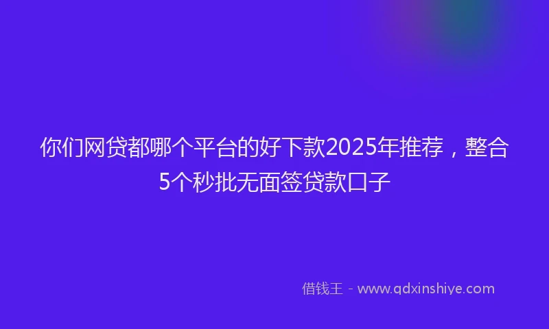 你们网贷都哪个平台的好下款2025年推荐，整合5个秒批无面签贷款口子