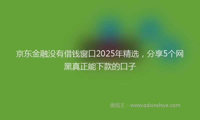 京东金融没有借钱窗口2025年精选，分享5个网黑真正能下款的口子