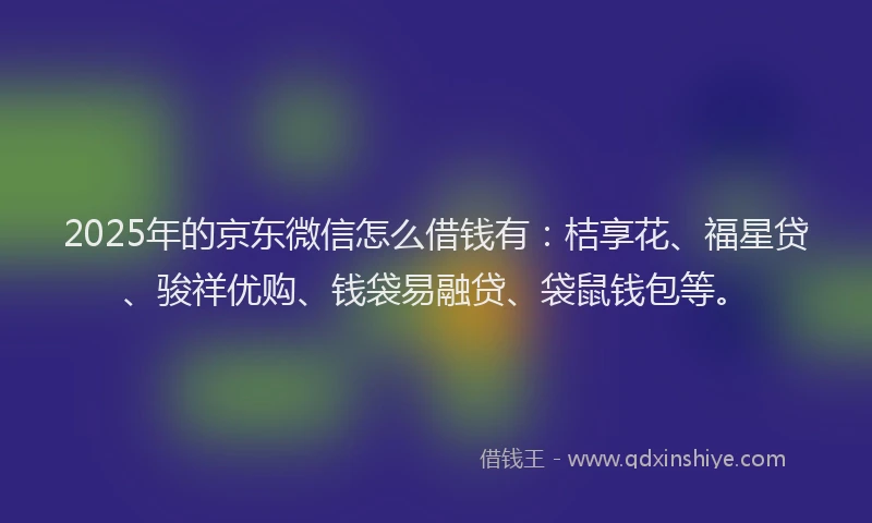 2025年的京东微信怎么借钱有：桔享花、福星贷、骏祥优购、钱袋易融贷、袋鼠钱包等。