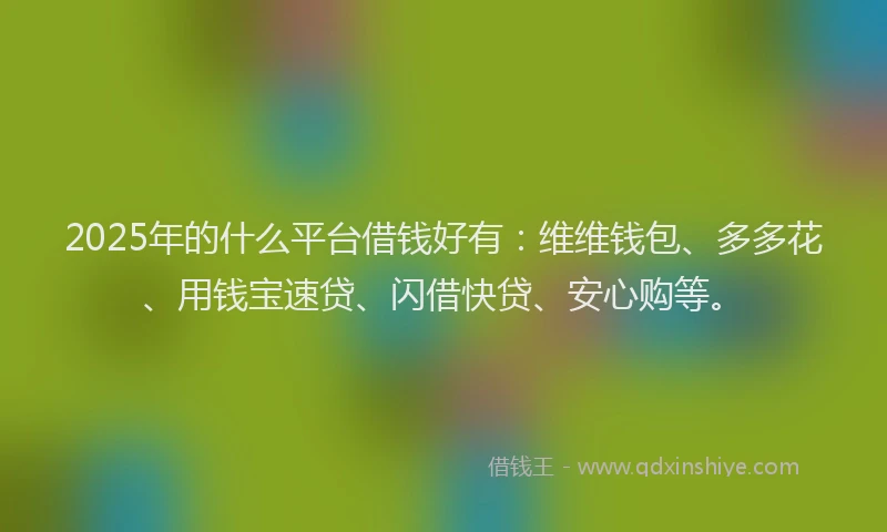 2025年的什么平台借钱好有：维维钱包、多多花、用钱宝速贷、闪借快贷、安心购等。