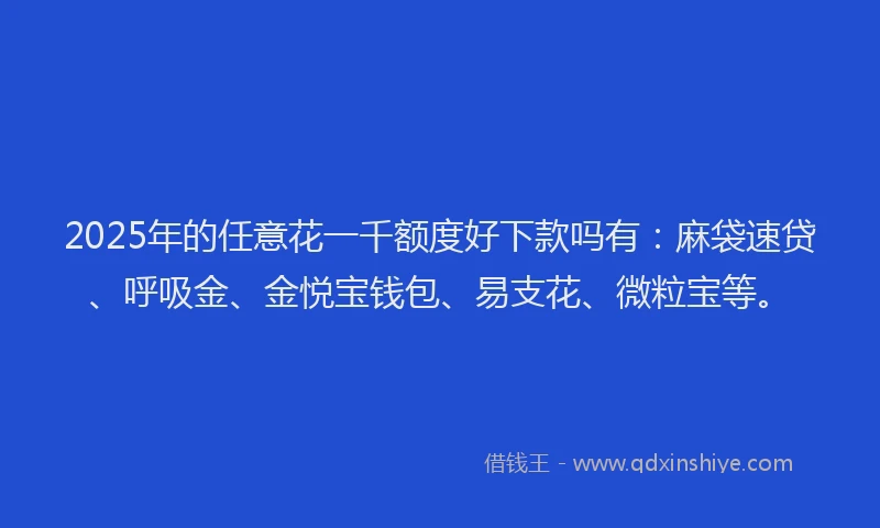 2025年的任意花一千额度好下款吗有：麻袋速贷、呼吸金、金悦宝钱包、易支花、微粒宝等。