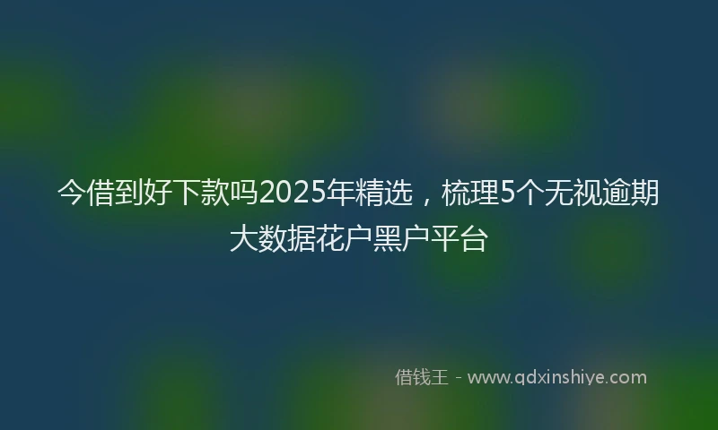 今借到好下款吗2025年精选，梳理5个无视逾期大数据花户黑户平台
