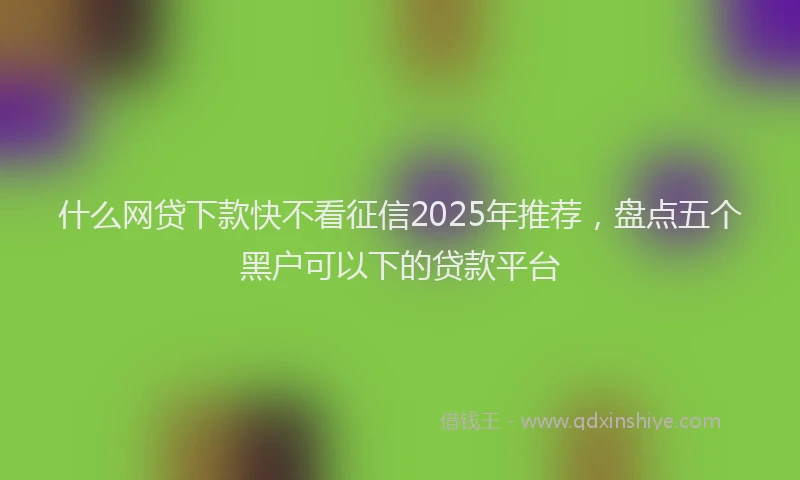 什么网贷下款快不看征信2025年推荐,盘点五个黑户可以下的贷款平台