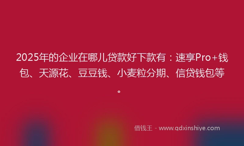 2025年的企业在哪儿贷款好下款有：速享Pro+钱包、天源花、豆豆钱、小麦粒分期、信贷钱包等。