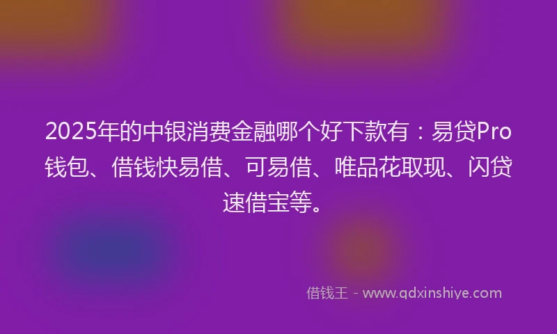 2025年的中银消费金融哪个好下款有：易贷Pro钱包、借钱快易借、可易借、唯品花取现、闪贷速借宝等。