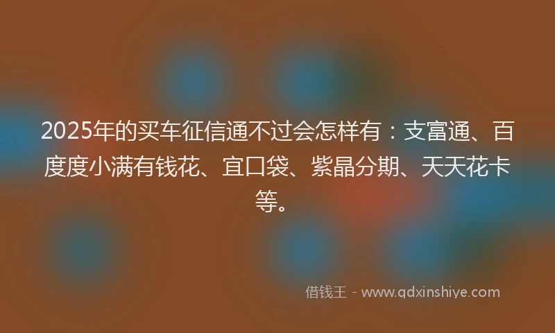 2025年的买车征信通不过会怎样有：支富通、百度度小满有钱花、宜口袋、紫晶分期、天天花卡等。