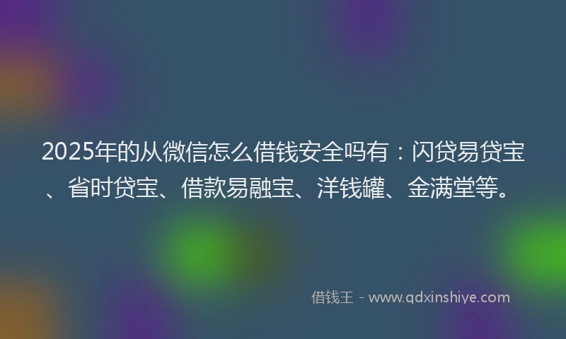 2025年的从微信怎么借钱安全吗有：闪贷易贷宝、省时贷宝、借款易融宝、洋钱罐、金满堂等。