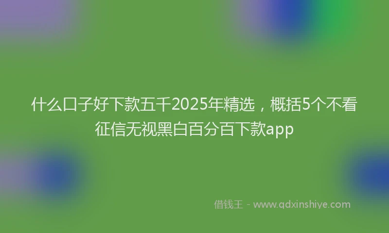 什么口子好下款五千2025年精选，概括5个不看征信无视黑白百分百下款app