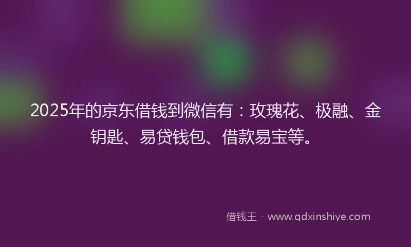 2025年的京东借钱到微信有：玫瑰花、极融、金钥匙、易贷钱包、借款易宝等。