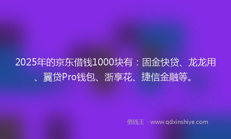 2025年的京东借钱1000块有：固金快贷、龙龙用、翼贷Pro钱包、浙享花、捷信金融等。