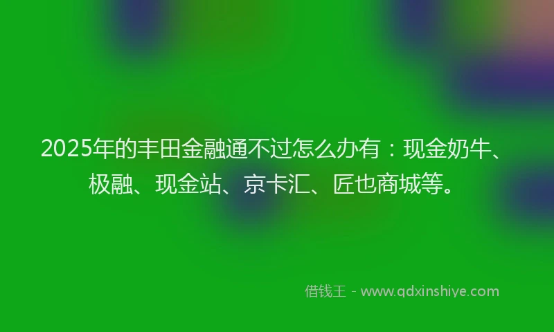 2025年的丰田金融通不过怎么办有：现金奶牛、极融、现金站、京卡汇、匠也商城等。