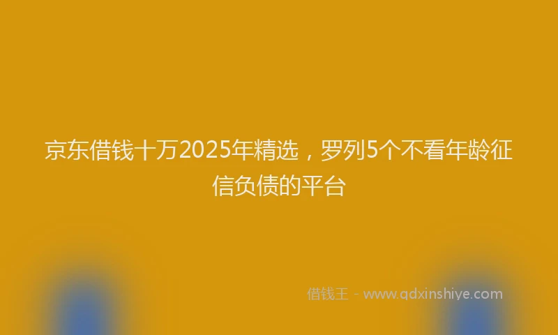 京东借钱十万2025年精选，罗列5个不看年龄征信负债的平台