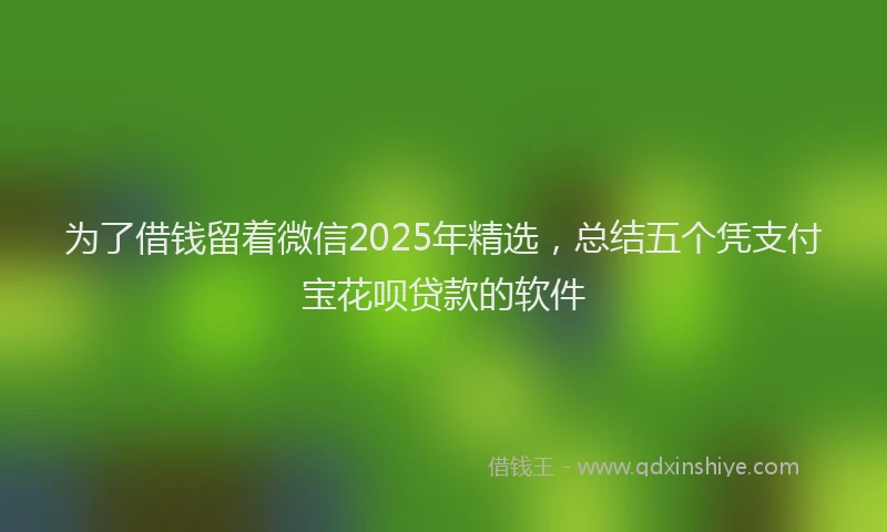 为了借钱留着微信2025年精选，总结五个凭支付宝花呗贷款的软件