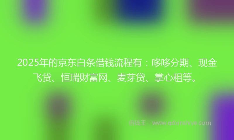 2025年的京东白条借钱流程有：哆哆分期、现金飞贷、恒瑞财富网、麦芽贷、掌心租等。