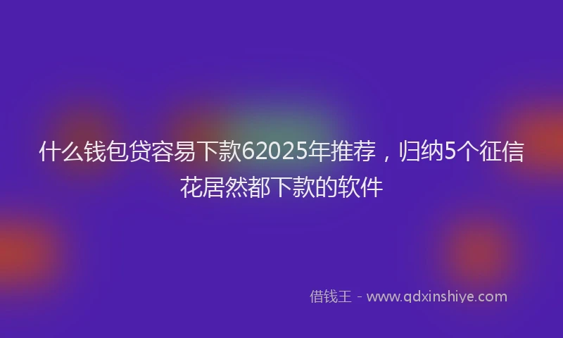 什么钱包贷容易下款62025年推荐，归纳5个征信花居然都下款的软件