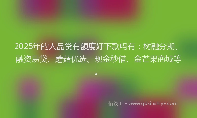 2025年的人品贷有额度好下款吗有:树融分期、融资易贷、蘑菇优选、现金秒借、金芒果商城等。