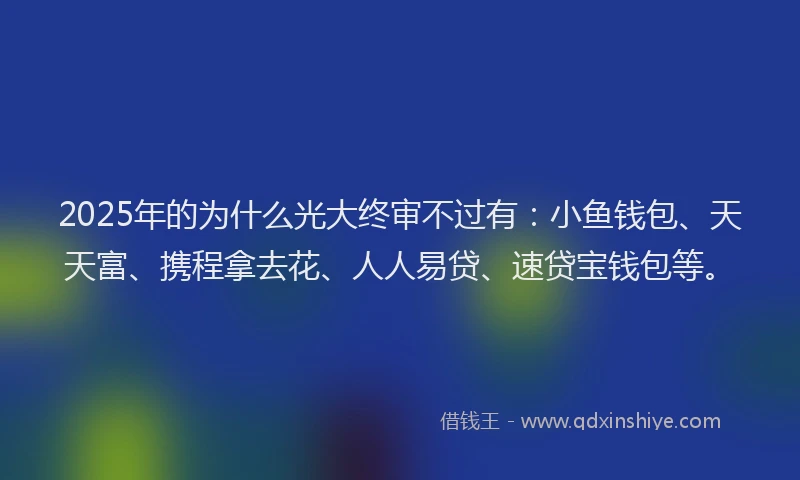 2025年的为什么光大终审不过有：小鱼钱包、天天富、携程拿去花、人人易贷、速贷宝钱包等。