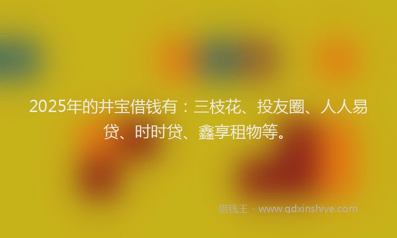 2025年的井宝借钱有：三枝花、投友圈、人人易贷、时时贷、鑫享租物等。