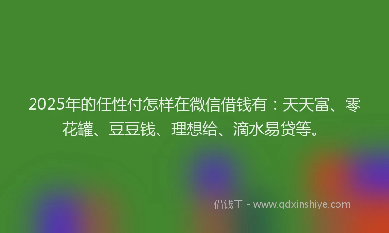 2025年的任性付怎样在微信借钱有：天天富、零花罐、豆豆钱、理想给、滴水易贷等。