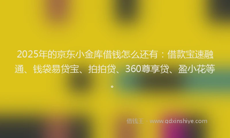 2025年的京东小金库借钱怎么还有：借款宝速融通、钱袋易贷宝、拍拍贷、360尊享贷、盈小花等。