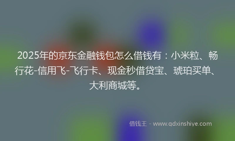 2025年的京东金融钱包怎么借钱有：小米粒、畅行花-信用飞-飞行卡、现金秒借贷宝、琥珀买单、大利商城等。