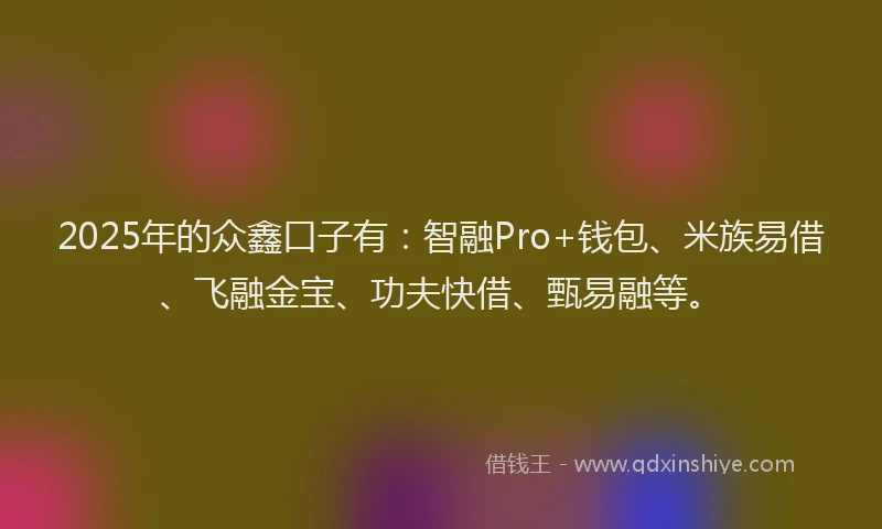 2025年的众鑫口子有：智融Pro+钱包、米族易借、飞融金宝、功夫快借、甄易融等。