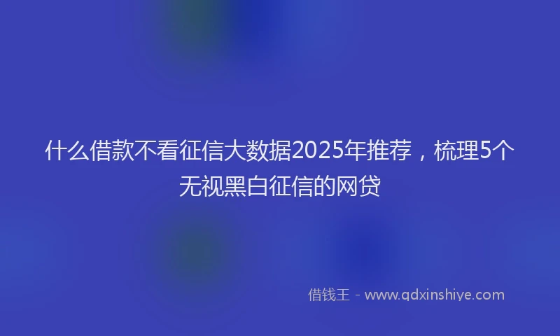 什么借款不看征信大数据2025年推荐，梳理5个无视黑白征信的网贷
