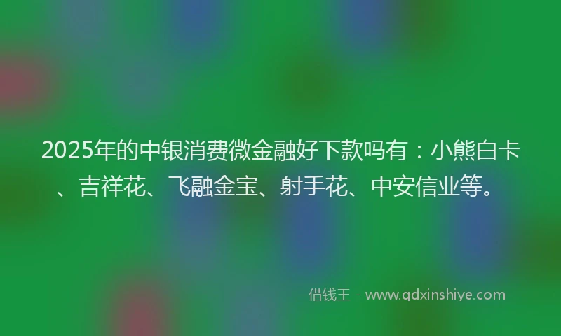 2025年的中银消费微金融好下款吗有：小熊白卡、吉祥花、飞融金宝、射手花、中安信业等。